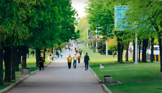Знайомтеся з відео "Вулиці нашого міста"